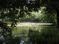 rybník Věžák