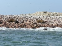 Islas Ballestas