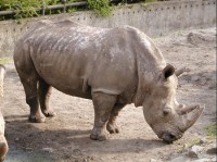 výlet do zoo