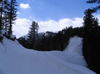 procházky kolem lyžařského centra