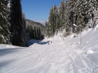 procházky kolem lyžařského centra