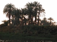 procházka Luxorem
