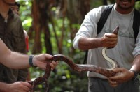 venezuelská vesnice u řeky Rio Caure