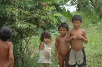 venezuelská vesnice u řeky Rio Caure