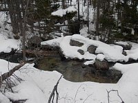 voda Studeného potoka