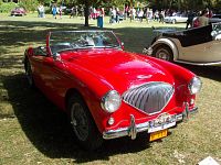 Austin Healey 100