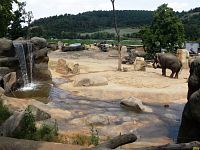 sloní výbeh aj s vodou