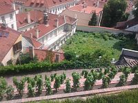 záhrada pod Pražským hradom