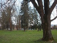 park