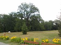 kvety, lavičky a stromy v parku