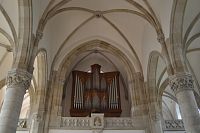 organ