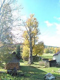 pohľad na brest