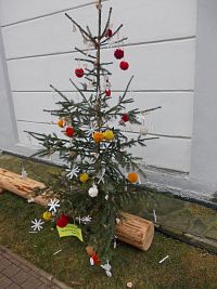 vianočný stromček pri kostole