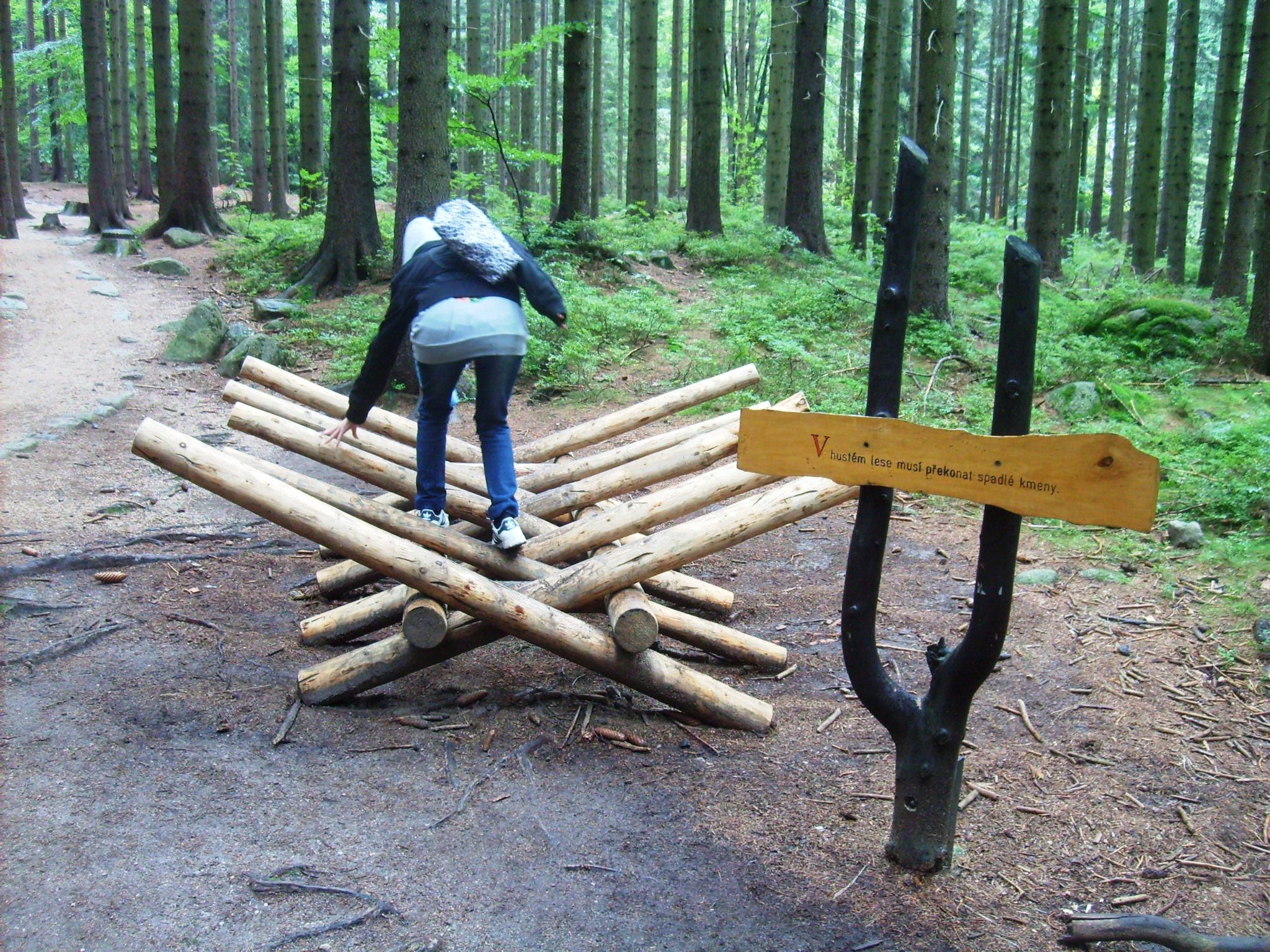 Fotogalerie Harrachov - turistická trasa Liščí stezka, jej detská časť ...