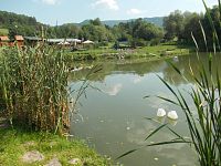 Sebedražie - rybníky - Vodný svet Sebedražie