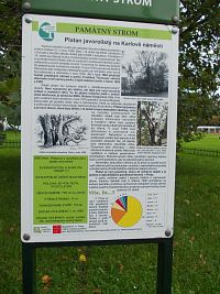 pamätný strom - infopanel o Karlovom námestí a o pamätnom strome