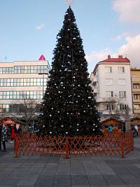 vianočný stromček na Masarykovom námestí