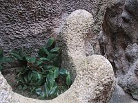zelená kvetina zasadené v umelej skale