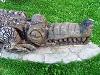 detail krokodíla