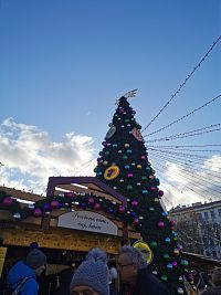 hlavný vianočný stromček na námestí