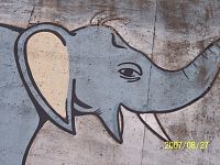 kreslený slon na múre