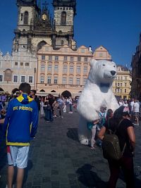 ľadový medveď na Staromestskom námestí, v pozadí dve veže a štít s Madonou