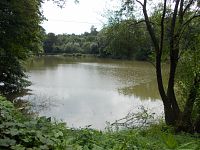 Brumovské rybníky