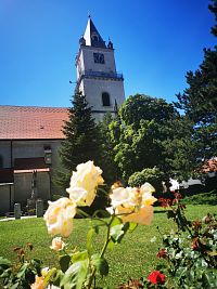 veža kostola cez ruže