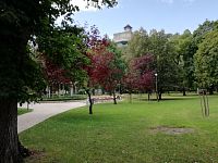 pohľad z parku na dominantu Trenčína - hrad