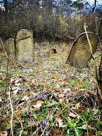 Bolešov - židovský cintorín