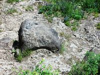 vytesaná hlava na kameni