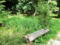 jednoduchá lavička a bujná tráva v parku