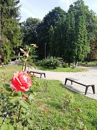 ružička na začiatku parku neďaleko pamätníka