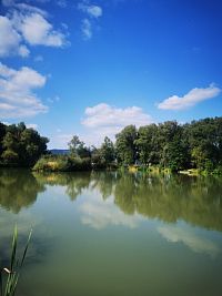 modrá obloha, zeleň a hladina rybníka