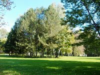 pohľad na park