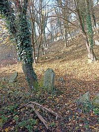 Považská Bystrica - Židovský cintorín