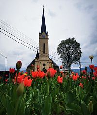 kostol cez tulipány