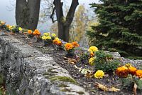 múr s kvetinami