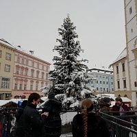 vianočný strom pred radnicou