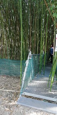 do bambusového "hájika" viedli dva vstupy