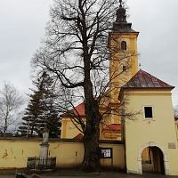 naľavo pri vstupnej bráne do areálu kostola stojí socha sv. jána Nepomuckého a statný strom