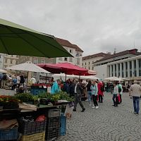 stánky s ovocím, zeleninou a kvetmi