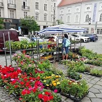 stánnky s kvetinami tie ma zaujali najviac