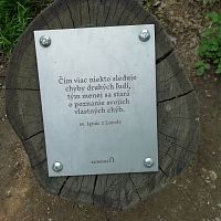 jedna z tabuliek s citátom, ktoré sa nachádzajú pri ceste lesom ku Katarínke