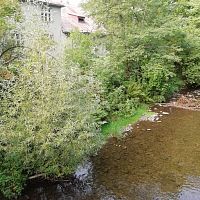 rieka Lomná v dĺžke 800 metrov preteká areálom chráneného parku a sanatória