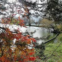 jesenný pohľad na rybníky