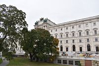 pohľad od skleníka na Nový Hofburg