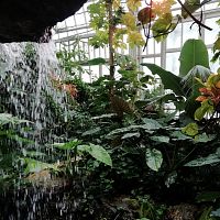 vodopád v skleníku