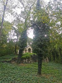 hrobka v zeleni na okraji lesíka