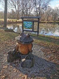 jazierko so žabou, infopanel o faune v rybníku